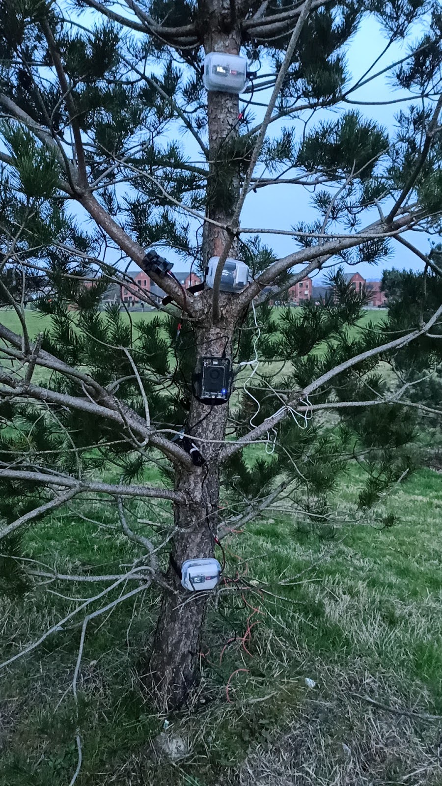 DeepWood installation