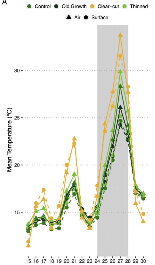 A graph showing the mean temperature in various forest canopy conditions during the heat dome.