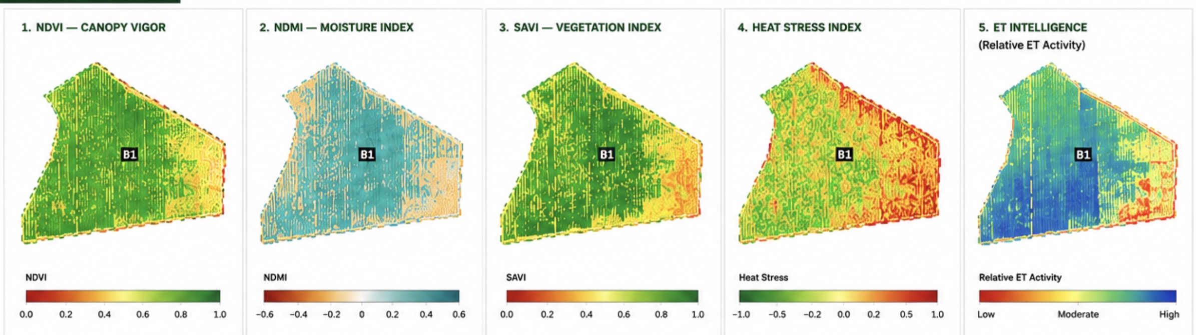 ET Intelligence Visualization
